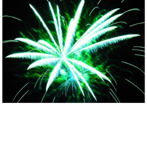 Feuerwerkshandel Betriebshaftpflicht